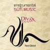 Download track Divan Dururum (Entrumental)