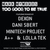 Download track Too Good To Be True (Dani Sbert Remix)