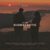 Download track Diamagnetic