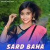 Download track Sard Baha