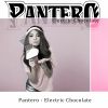 Download track Electric Chocolate