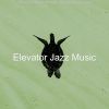 Download track Wondrous Saxophone Bossa Nova - Vibe For Summer Travels