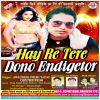 Download track Hay Re Tere Dono Endicator