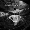 Download track Coming Back To Life (Chapter 4)