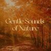 Download track Soundscapes Of Nature Melodies, Pt. 47