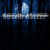 Download track Mesmerizing Moonlight Forest Ambience, Pt. 7