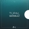 Download track Waterlily