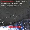 Download track Tears In The Rain (Ciro Visone Mix)