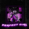 Download track PERFECT GIRL (Slowed + Reverb)