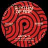 Download track Rhythm Of Fire (Pavzo Remix)