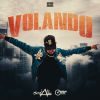 Download track VOLANDO