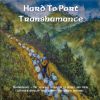 Download track Jig Set: Road To Lisdonvarna / Swallowtail / Morrison's / Kesh