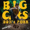 Download track Big Cats Don't Purr