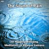 Download track Ambient Rain For Serenity