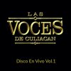 Download track Mucho Gusto Soy Ivan