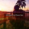 Download track Harmonys Peaceful Serenity