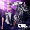 Download track Amigo É O Caralho