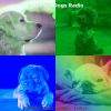 Download track Sublime Jazz Guitar Trio - Vibe For Dogs