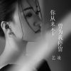 Download track 你从来不曾为我停留 (Dj九零版伴奏)