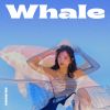 Download track Whale