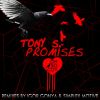 Download track Promises (Igor Gonya Promising Dub)