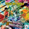 Download track El Porro De Las Teclas