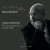 Download track Franz Schubert Sonata In B Major, D. 850 I. Allegro Vivace