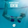 Download track IDKW (Radio Edit)