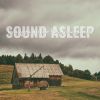 Download track Relaxing Animal Farm Early Evening Sounds, Pt. 2