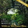 Download track Wild As We Came Here