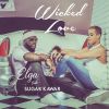 Download track Wicked Love