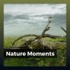 Download track Calm Nature Sounds With Music, Pt. 37