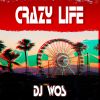 Download track Crazy Life