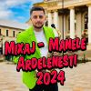 Download track Manele Hiturile Anului 2024