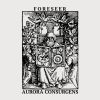 Download track Aurora Consurgens