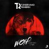 Download track Wolf (T&R Club Edit)