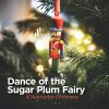 Download track The Nutcracker, Op. 71, Act I, Scene 1: No. 2, March