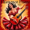 Download track Flamenco Fuego, Pt. 14