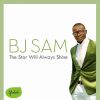 Download track The Star Will Always Shine (Instrumental)