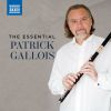 Download track Flute Concerto No. 2 In E Minor, Op. 57: III. Rondo. Allegro Giusto