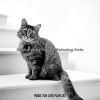 Download track Awesome (Cats)