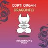 Download track Dragonfly (Extended Mix)