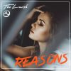 Download track Reasons (Instrumental Version)