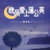 Download track 晚风爱上蒲公英 (伴奏)