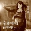 Download track 亲爱的你呀在哪里 (伴奏)