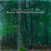 Download track Magical Deep Forest Rain Sounds, Pt. 3