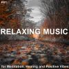 Download track Beautiful Relaxing For Stress Relief