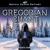 Download track Gregorian Winter Meditation With 432Hz Healing Frequency (Loopable)