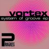 Download track System Of Groove