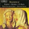 Download track 17. Zelenka: Magnificat In D Major ZWV 108 - I. Magnificat Anima Mea Dominum